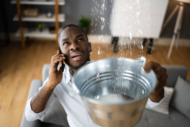 Best Sewage cleanup and water damage restoration  in Pahoa, HI