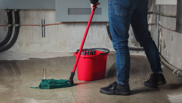Best Carpet water damage restoration  in Pahoa, HI