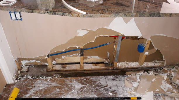 Best Flood damage cleanup  in Pahoa, HI