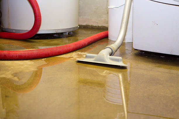 Best Flood damage cleanup  in Pahoa, HI