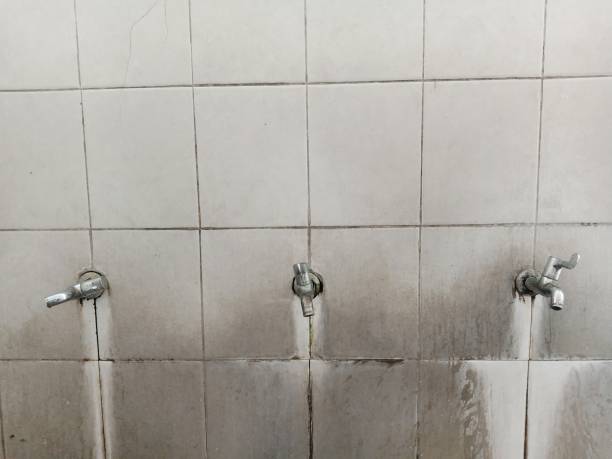 Best 24/7 water damage repair  in Pahoa, HI