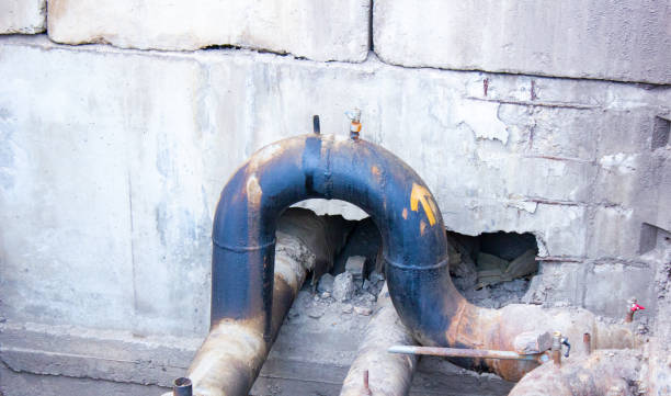 Best Water damage restoration near me  in Pahoa, HI