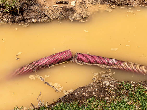 Best 24-hour water damage restoration  in Pahoa, HI
