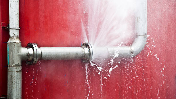 Best Mold removal after water damage  in Pahoa, HI
